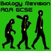 Revision Rocks - Plants Organs and Photosynthesis