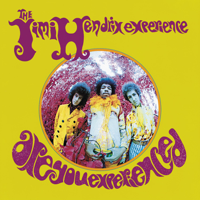 The Jimi Hendrix Experience - Are You Experienced (Deluxe Version) artwork