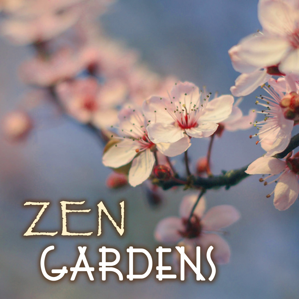 Zen Gardens Traditional Japanese Music Collection Simple And
