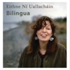 Eithne Ní Uallacháin, Gerry O'Connor & Desi Wilkinson - Óró