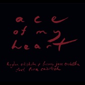 Ace of My Heart (feat. Lucia Cadotsch) artwork