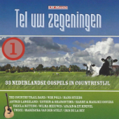 Het ruwhouten kruis (feat. Thecla Rutting) - The Country Trails Band