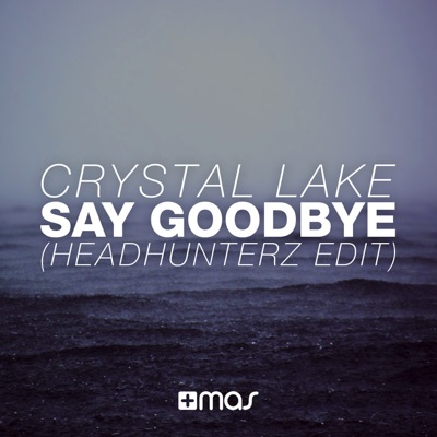 Say Goodbye (Headhunterz Radio Edit)