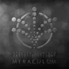 Artist Spotlight : MiraculuM album lyrics, reviews, download