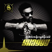 Shaggy (feat. Sizzla Kalonji & Collie Buddz) - Mad Mad World