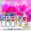 Spring Lounge 2016 - Sounds Like Sunshine, 2016