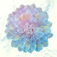 Zoetic by A Sense of Purpose album reviews, ratings, credits