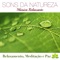 Sons da Natureza e Relaxamento: 101 Relaxamento Musicas de Fundo, Meditação, Musicas para Meditar, Musicas para Dormir, Musicoterapia, Joga, Massagens Relaxantes e Serenidade artwork