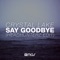 Say Goodbye (Headhunterz Edit) - Crystal Lake lyrics