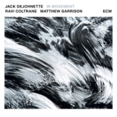 Jack DeJohnette - Serpentine Fire