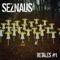 Falsedad (feat. Fernando de Reincidentes) - SezNaus lyrics