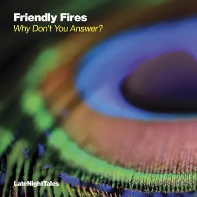 Why Don’t You Answer? (Remixes) - Single - Friendly Fires
