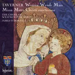 Taverner: Missa Mater Christi sanctissima & Western Wynde Mass by Westminster Abbey Choir & James O'Donnell album reviews, ratings, credits