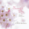 Beautiful Day - The O'Neill Brothers