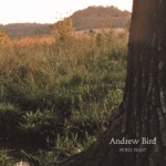 Andrew Bird - masterswarm