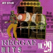 Reggae Hits, Vol. 29 artwork