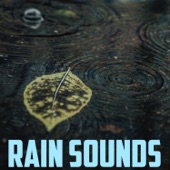 Raining on the Open Plains (Sweet & Soft Rain) artwork