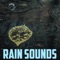 Raining on the Open Plains (Sweet & Soft Rain) artwork