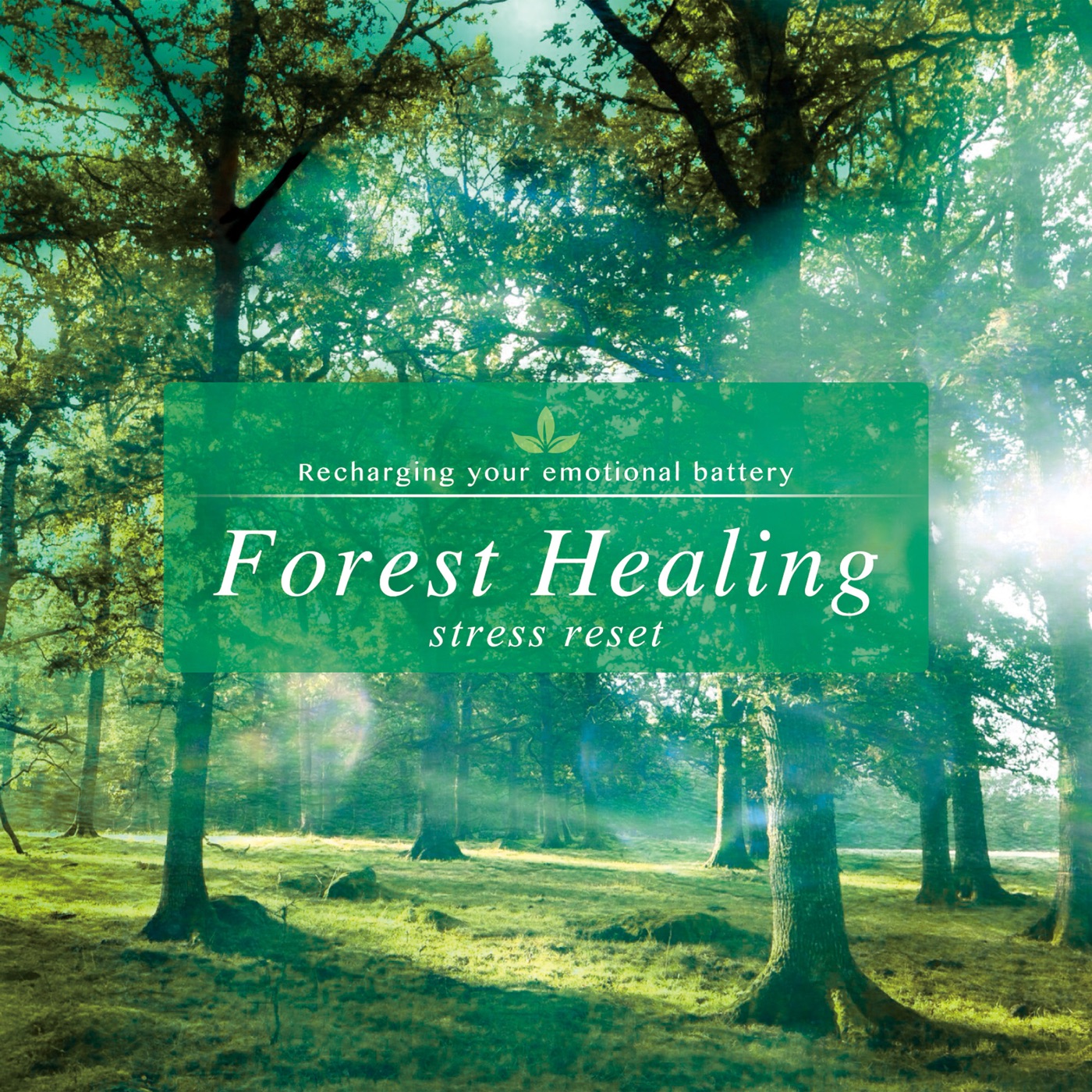 Forest Healing - Stress Reduction by Takashi Kokubo