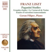 Liszt Complete Piano Music, Vol. 42: Paganini Studies artwork