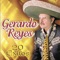 Muchos Vasos de Vino - Gerardo Reyes lyrics