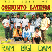 The Best Of - Conjunto Latinos