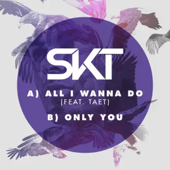 Only You by DJ S.K.T song reviws