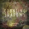 Counting Shadows - Single