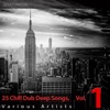 25 Chill Dub Deep Songs, Vol. 1