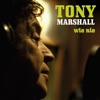 Tony Marshall - Schöne Maid (Wie nie Version)