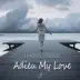 Adieu My Love - Single album cover