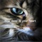 How Deep Is Your Heart - Manu Pacheco lyrics