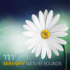 111 Serenity Nature Sounds: Asian Zen Spa Meditation Music and Relaxing Natural Ambiences for Yoga and Sleep - Various Artists