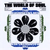 The World of Soul