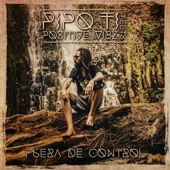 Fuera de Control (feat. Positive Vibz) - EP artwork