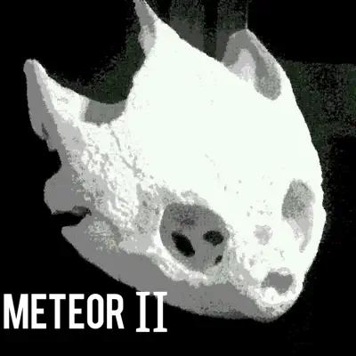 Meteor II: Dead Animal - Meteor