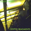 Cryptid Fragments