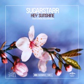 Hey Sunshine (feat. Alexander) [Remixes] - EP artwork