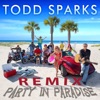 Party in Paradise (Remix) [feat. Nadirah Shakoor, Peter Mayer & Doyle Grisham] - Single, 2015