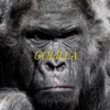 Gorilla artwork