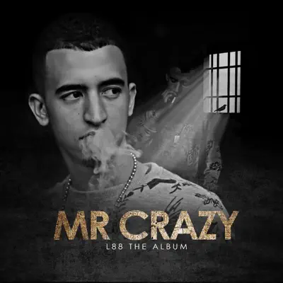 L.8.8 The Album - Mr. Crazy