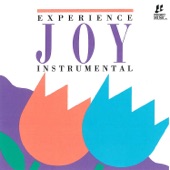 Joy: Instrumental by Interludes artwork