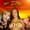 Erotic Reggae (Tierneyxo) - Single