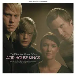 Do What You Wanna Do - EP - Acid House Kings