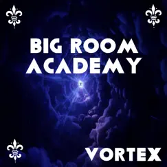 Vortex - Single by Big Room Academy album reviews, ratings, credits