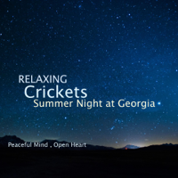 Acerting Art - Relaxing Crickets Summer Night at Georgia artwork