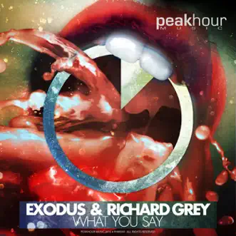 What You Say - Single by DJ Exodus & Richard Grey album reviews, ratings, credits