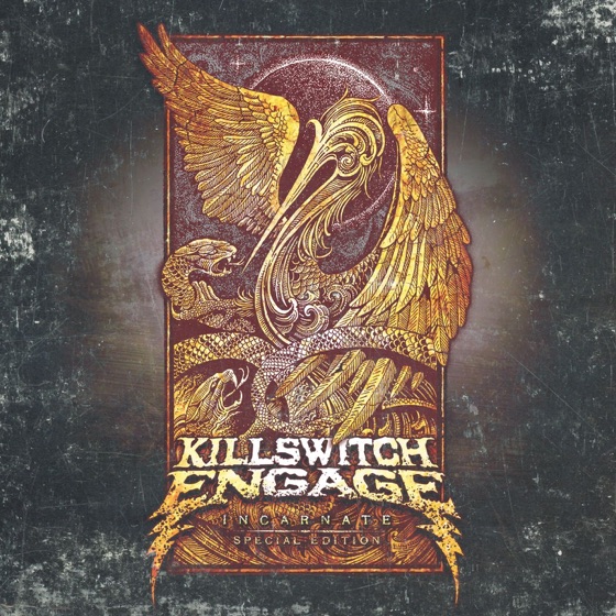 Cover artwork for Reignite