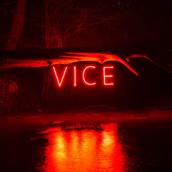 Cover artwork for Vice