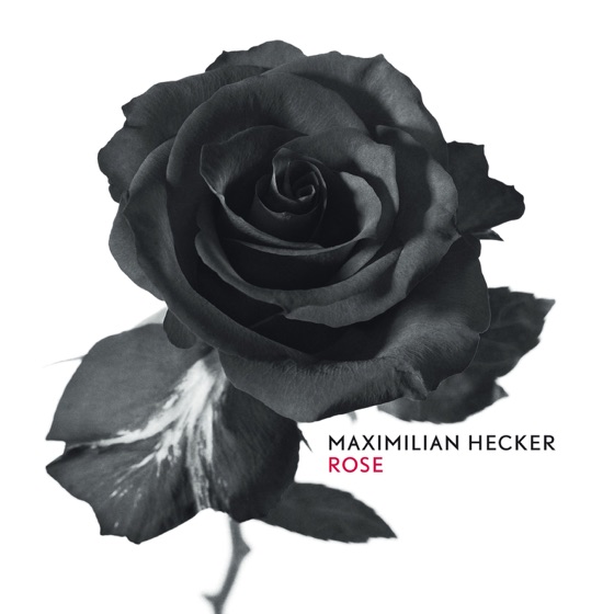 Cover artwork for Rose